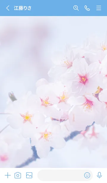 [LINE着せ替え] Sakura Photo 199 Not AIの画像2