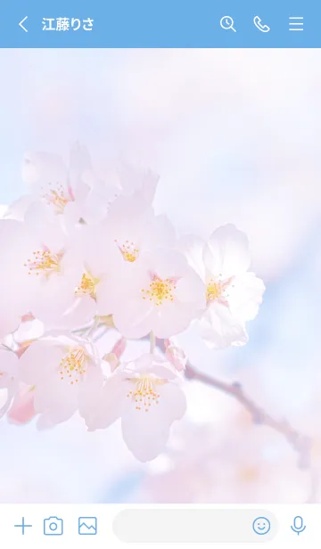 [LINE着せ替え] Sakura Photo 205 Not AIの画像2