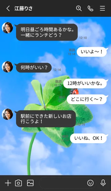 [LINE着せ替え] 本物ラッキークローバー & Ladybird #2-24の画像3