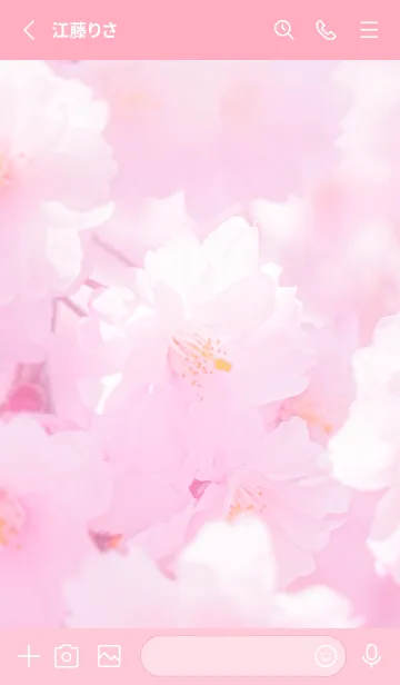 [LINE着せ替え] Real double cherry blossom #2-1の画像2