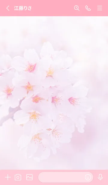 [LINE着せ替え] Real cherry blossom #3-1の画像2