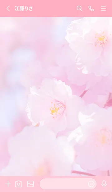 [LINE着せ替え] Real double cherry blossom #4-1の画像2