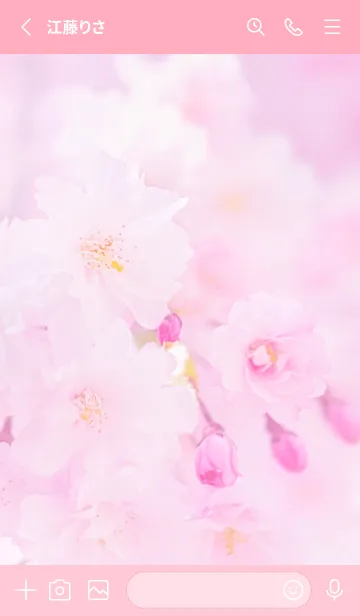 [LINE着せ替え] Real double cherry blossom #5-1の画像2