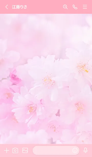 [LINE着せ替え] Real double cherry blossom #6-1の画像2