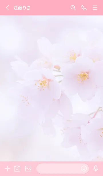 [LINE着せ替え] Sakura Photo 210 Not AIの画像2