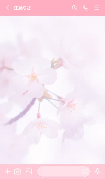 [LINE着せ替え] Sakura Photo 207 Not AIの画像2