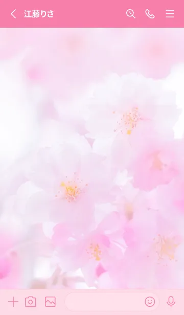[LINE着せ替え] Real double cherry blossom #1-2の画像2