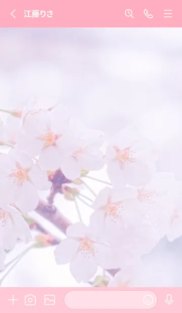 [LINE着せ替え] Sakura Photo 215 Not AIの画像2