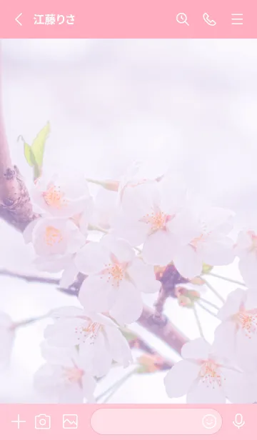 [LINE着せ替え] Sakura Photo 216 Not AIの画像2