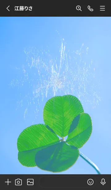 [LINE着せ替え] ケサランパサラン & Lucky clover #2-6の画像2