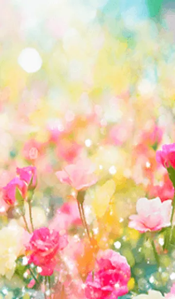 [LINE着せ替え] 薔薇(バラ)の花の着せかえ(R3383)の画像1