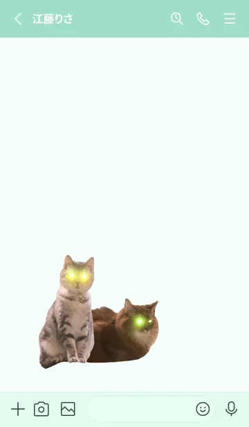 [LINE着せ替え] 仲良し猫ビームの画像2
