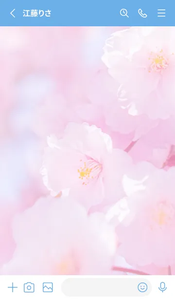 [LINE着せ替え] Real double cherry blossom #4-2の画像2