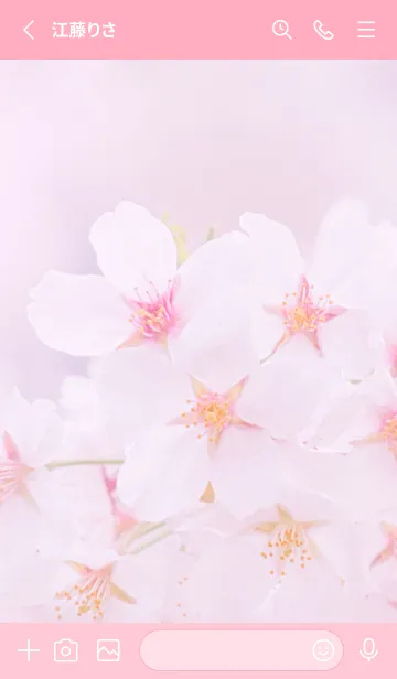 [LINE着せ替え] Sakura Photo 218 Not AIの画像2