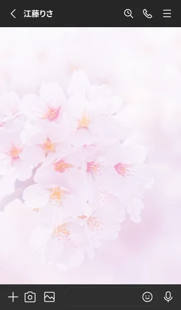 [LINE着せ替え] Real cherry blossom #3-2の画像2