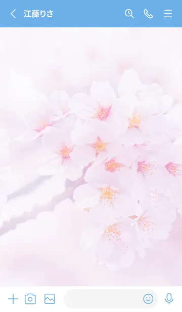 [LINE着せ替え] Real cherry blossom #4-2の画像2