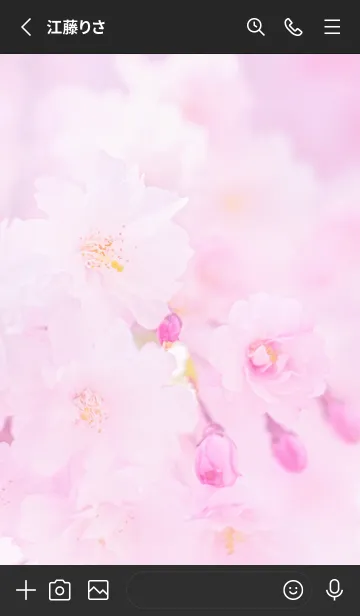 [LINE着せ替え] Real double cherry blossom #5-2の画像2