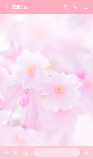 [LINE着せ替え] Sakura Photo 222 Not AIの画像2