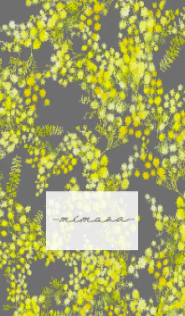 [LINE着せ替え] Spring color flowers -mimosa gray-の画像1