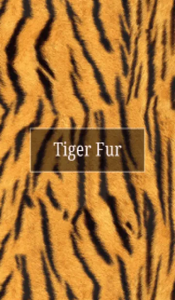 [LINE着せ替え] Tiger Fur 12の画像1