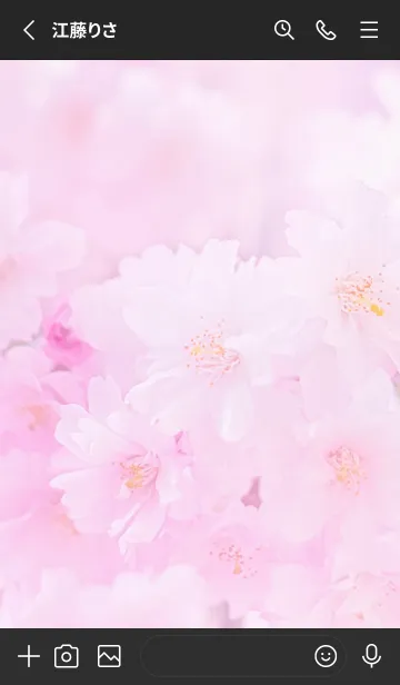 [LINE着せ替え] Real double cherry blossom #6-2の画像2