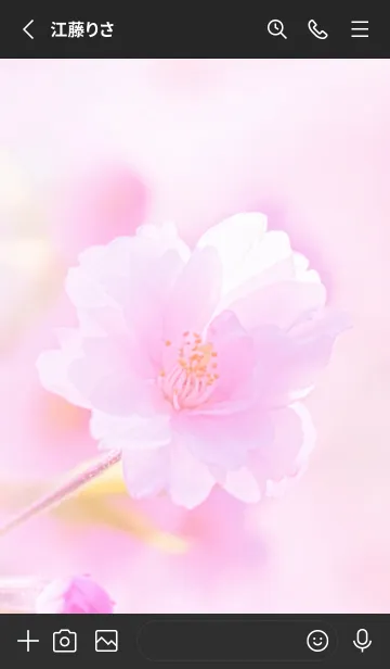 [LINE着せ替え] Real double cherry blossom #7-2の画像2