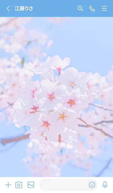 [LINE着せ替え] Sakura Photo 225 Not AIの画像2