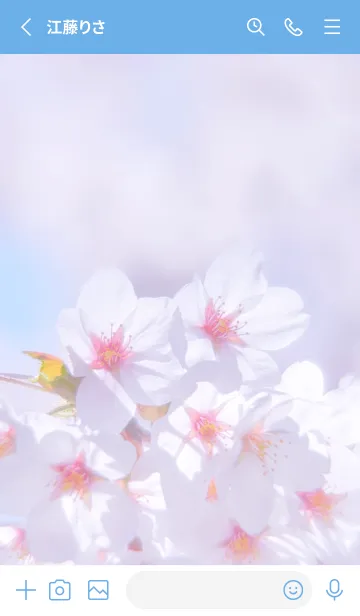 [LINE着せ替え] Sakura Photo 226 Not AIの画像2