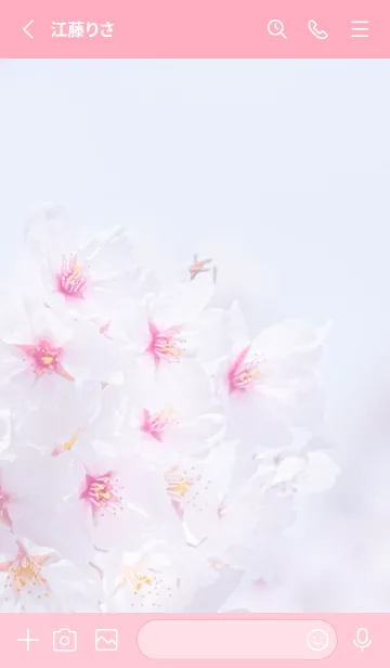 [LINE着せ替え] Sakura Photo 228 Not AIの画像2