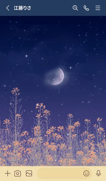 [LINE着せ替え] 春の花と星空の画像2