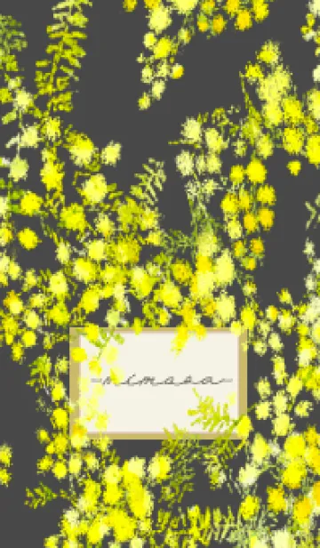 Spring color flowers -mimosa black-のLINE着せ替え