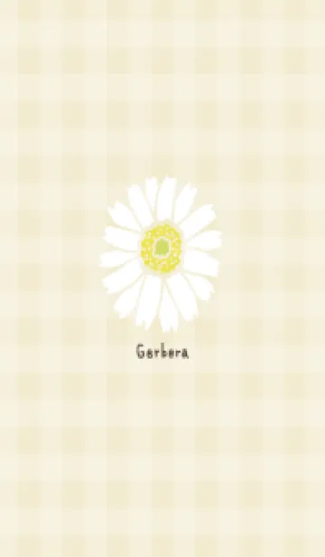 [LINE着せ替え] ガーベラ チェック柄4の画像1