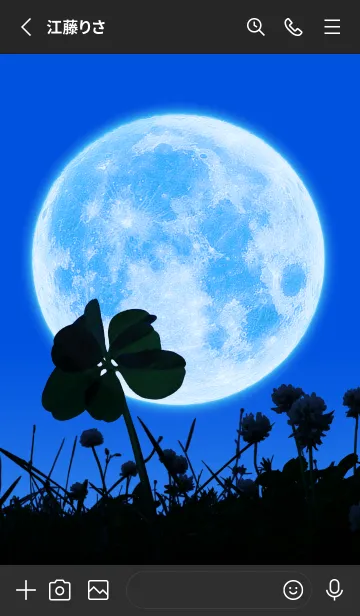 [LINE着せ替え] Real Moon & 7-Leaf Clover #1-1の画像2