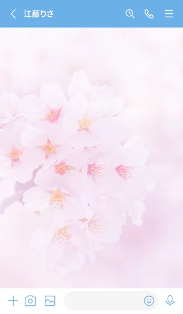 [LINE着せ替え] Real cherry blossom #3-3の画像2