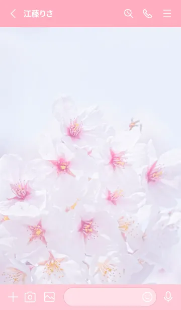 [LINE着せ替え] Sakura Photo 229 Not AIの画像2