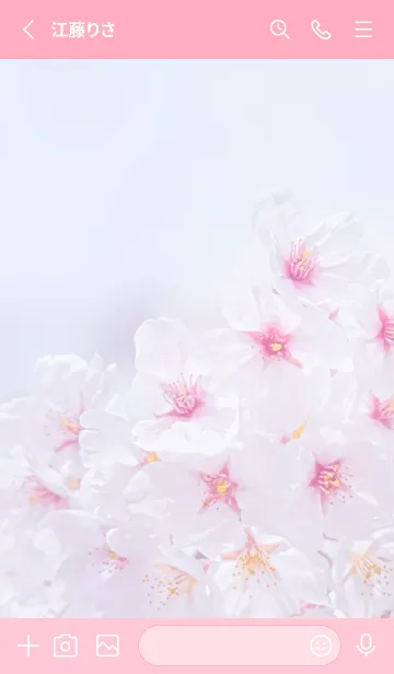 [LINE着せ替え] Sakura Photo 230 Not AIの画像2