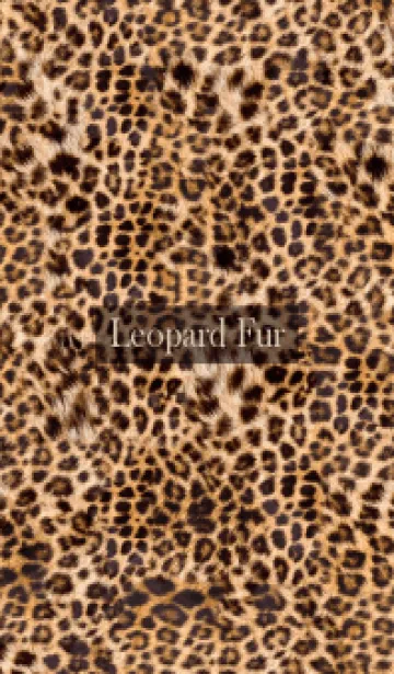 [LINE着せ替え] Leopard Fur 55の画像1