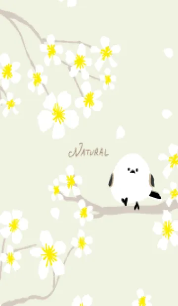 [LINE着せ替え] シマエナガ 白い花20の画像1