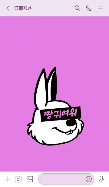 [LINE着せ替え] KOREA RABBIT THEME 150の画像2