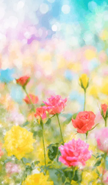 [LINE着せ替え] 薔薇(バラ)の花の着せかえ(R3466)の画像1