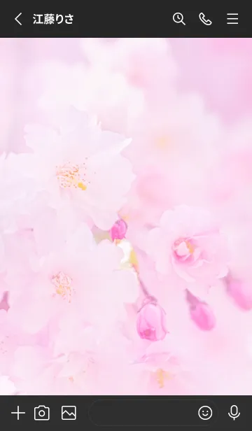 [LINE着せ替え] Real double cherry blossom #5-3の画像2