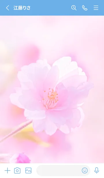 [LINE着せ替え] Real double cherry blossom #7-3の画像2