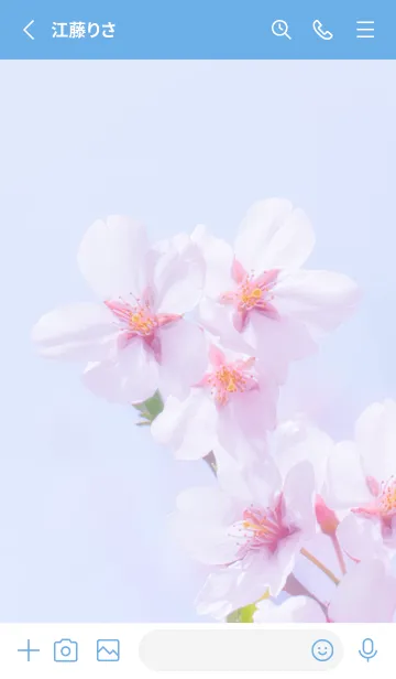 [LINE着せ替え] Real cherry blossom #8-3の画像2