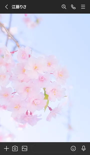 [LINE着せ替え] Real double cherry blossom #8-3の画像2