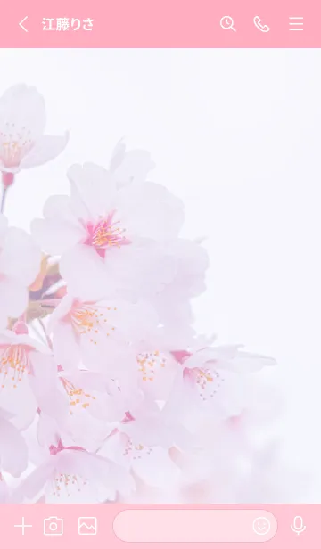 [LINE着せ替え] Sakura Photo 242 Not AIの画像2