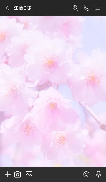 [LINE着せ替え] Sakura Photo 246 Not AIの画像2