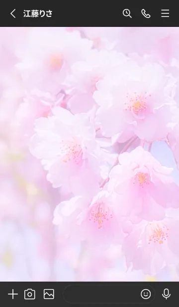 [LINE着せ替え] Sakura Photo 247 Not AIの画像2