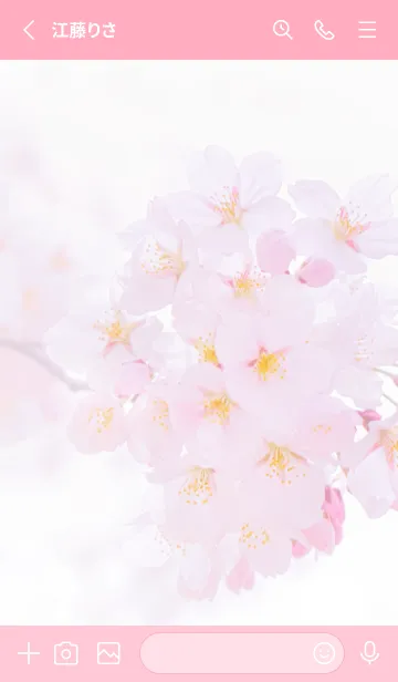 [LINE着せ替え] Real cherry blossom #2-4の画像2