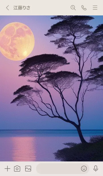 [LINE着せ替え] 夕陽のビーチ 1vEqiの画像2