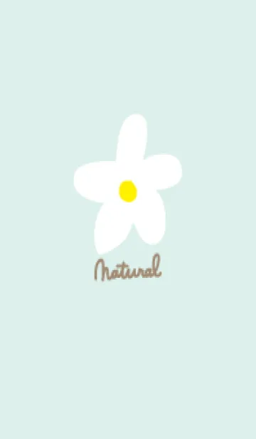 [LINE着せ替え] 白い花 ナチュラル12の画像1